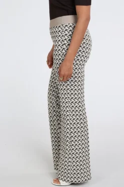 Cambio Francis Broek Bruin