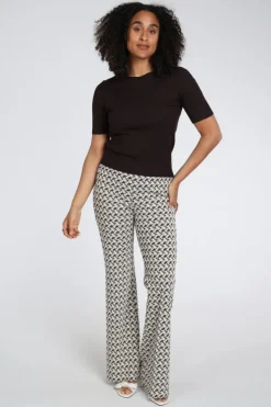 Cambio Francis Broek Bruin