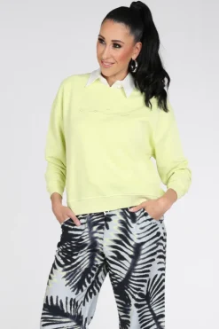 Catnoir 6610 Sweater Geel