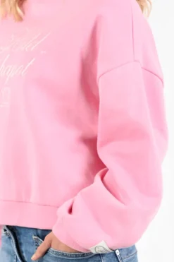 Fabienne Chapot CLTSWE14SS267028 Sweater Roze