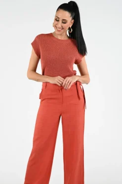 Geisha 64082-70 Pull korte mouw Roest