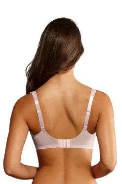 Rosa Faia 5631 Softbeha roze